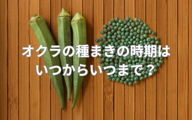 オクラの種まきの時期はいつからいつまで？