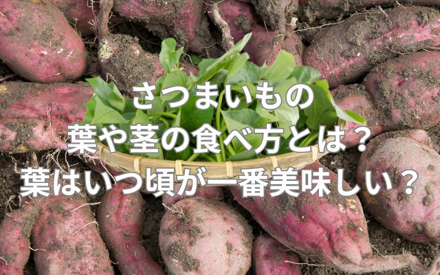 さつまいもの葉や茎の食べ方とは?