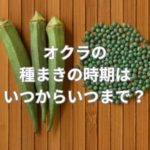 オクラの種まきの時期はいつからいつまで？