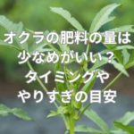 オクラの肥料の量は少なめがいい？タイミングややりすぎの目安