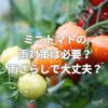 ミニトマトの雨対策は必要？雨ざらしで大丈夫？