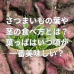 さつまいもの葉や茎の食べ方とは？
