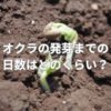 オクラの発芽までの日数はどのくらい？