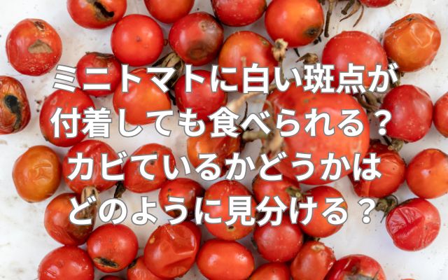 ミニトマトに白い斑点が付着しても食べられる？