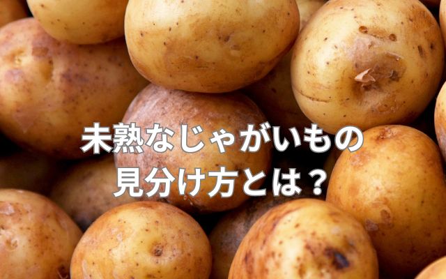未熟なじゃがいもの見分け方とは？