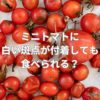 ミニトマトに白い斑点が付着しても食べられる？