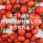ミニトマトに白い斑点が付着しても食べられる？