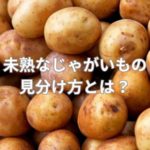 未熟なじゃがいもの見分け方とは？