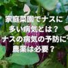 家庭菜園でナスに多い病気とは？ナスの病気の予防に農薬は必要？