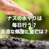 ナスの水やりは毎日行う？最適な頻度と量とは？