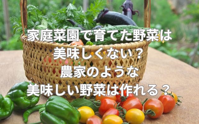家庭菜園で育てた野菜は美味しくない?