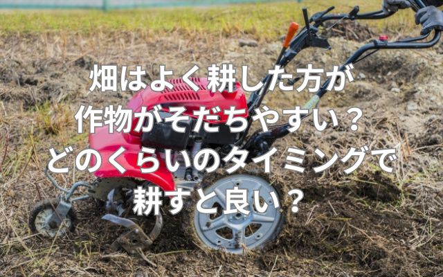 畑はよく耕した方が作物がそだちやすい?