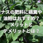 ナスの肥料に鶏糞や油粕はおすすめ？メリットとデメリットとは？