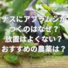 ナスにアブラムシがつくのはなぜ？放置はよくない？おすすめの農薬は？