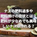 ナスの肥料過多や肥料焼けの症状とは？