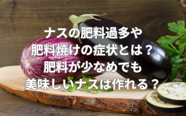 ナスの肥料過多や肥料焼けの症状とは？