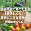 家庭菜園で育てた野菜は美味しくない？