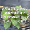 さつまいもの肥料に鶏糞や油粕はおすすめ？それぞれのメリットとデメリットとは？