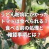 うどん粉病にかかったトマトは食べられる？食べる前の処理と確認事項とは？