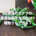 収穫後のオクラの最適な保存方法とは？種取りもできる？