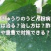 きゅうりのうどん粉病は治る？治し方は？酢や重曹で対策できる？