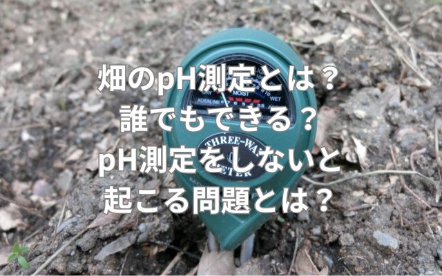 畑のpH測定とは？誰でもできる？pH測定をしないと起こる問題とは？