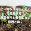ピーマンは何日くらいで発芽する？発芽条件と発芽しない原因とは？