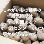 じゃがいもの種芋の販売時期は年に何回ある？ホームセンターでいつ頃から販売される？