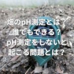 畑のpH測定とは？誰でもできる？pH測定をしないと起こる問題とは？