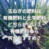 玉ねぎの肥料は有機肥料と化学肥料どちらがいい？有機肥料なら何がおすすめ？