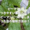 ピーマンにつきやすい害虫とは？ピーマンについてしまった虫の駆除方法は？