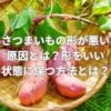 さつまいもの形が悪い原因とは？形をいい状態に保つ方法とは？