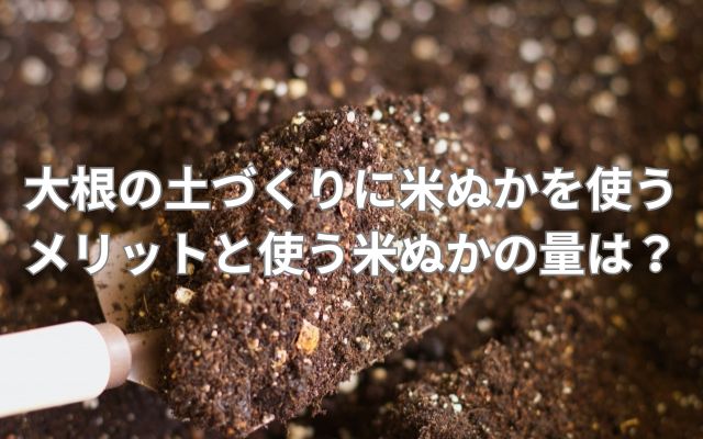 大根の土づくりに米ぬかを使うメリットと使う米ぬかの量は？