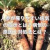 人参が罹りやすい病気の症状とは？病気の原因と対処法とは？