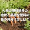 人参の肥料過多の症状と最適な肥料の量の見分け方とは？