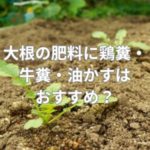 大根の肥料に鶏糞・牛糞・油かすはおすすめ？