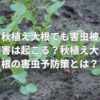 秋植え大根でも害虫被害は起こる？秋植え大根の害虫予防策とは？