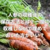 人参の収穫後の保存方法とは？一度に収穫しないで埋めておいた方がいい？