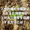 人参の種を冷蔵庫に入れると発芽率が上がる？発芽を促進する方法とは？