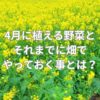 4月に植える野菜とそれまでに畑でやっておく事とは？
