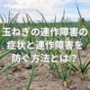 玉ねぎの連作障害の症状と連作障害を防ぐ方法とは？