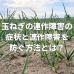 玉ねぎの連作障害の症状と連作障害を防ぐ方法とは？