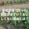 家庭菜園で作った野菜がまずい？おいしくない理由とは？