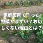 家庭菜園で作った野菜がまずい？おいしくない理由とは？