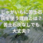 じゃがいもに苦土石灰を使う理由とは？苦土石灰なしでも大丈夫？
